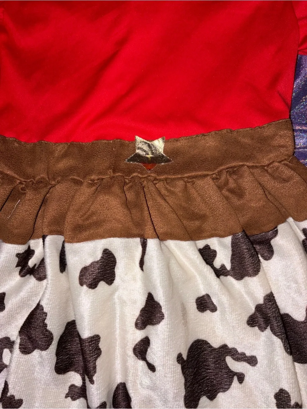 Cowgirl Dress Halloween Costume